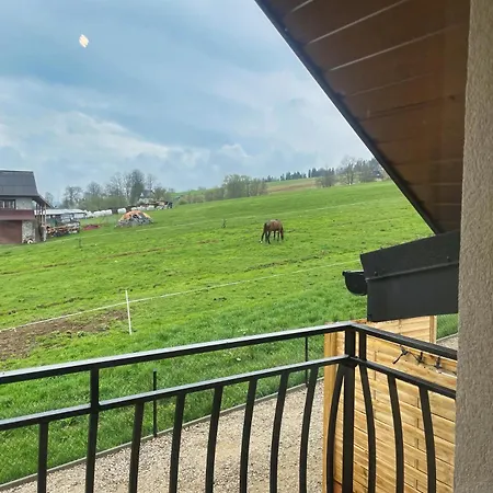 Quer Jacuzzi I Sauna Apartamento *