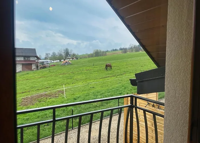 Quer Jacuzzi I Sauna Lejlighed *