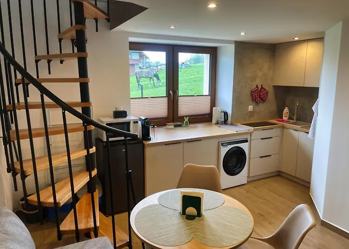 Quer Jacuzzi I Sauna Lejlighed *